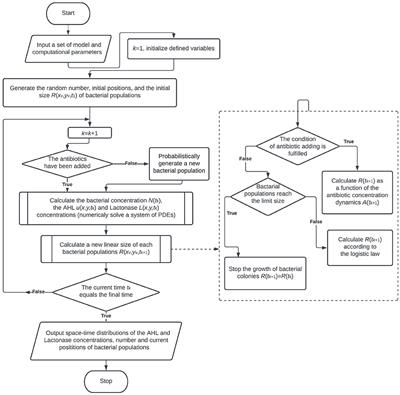 Computer-assisted modeling of Quorum sensing in bacterial population exposed to antibiotics